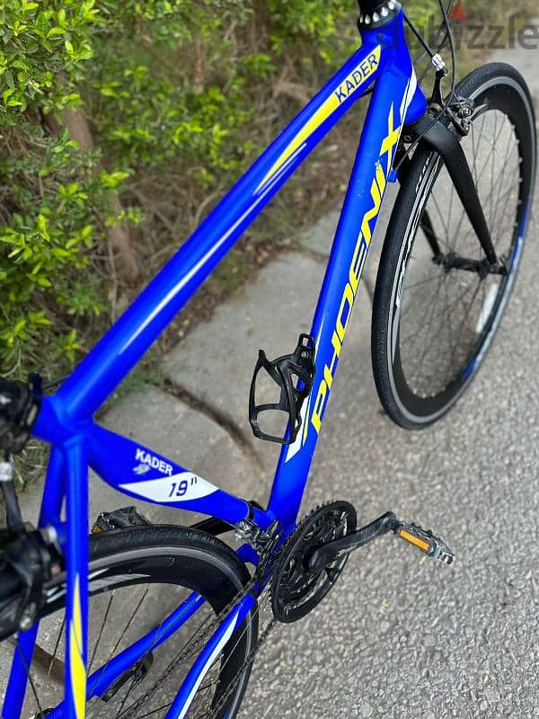 phoenix kader 19 2