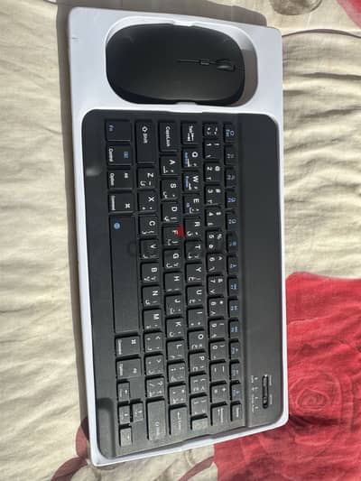 Wireless keyboard and mouth