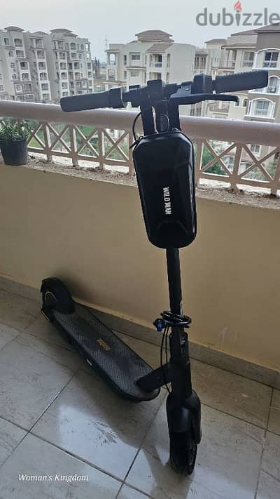 Segway Electric Scooter E25