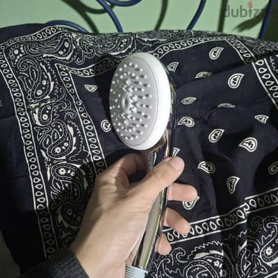 grohe tempesta 100 shower head