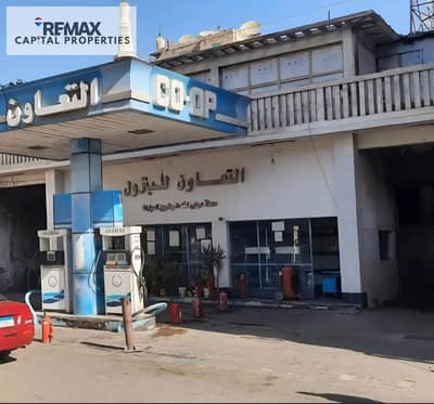 Half a gas station in the heart of Ismailia city