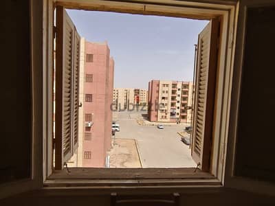 شقه بالسكان الاجتماعي مدينه بدر الحى الخامس النرجس