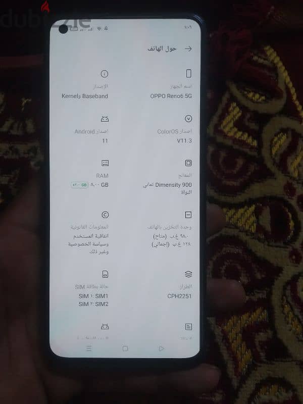 المنيا 6