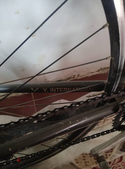 Antares Road Bike