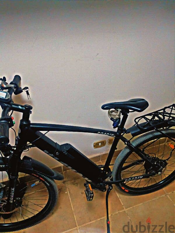 electric bike 1