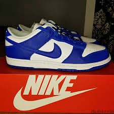 nike dunk new