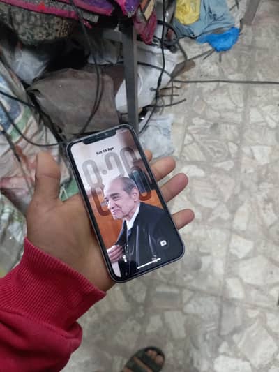 الاسكندريه