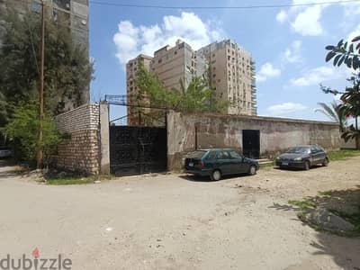 ابيس حى المهندسين أسفل كوبرى ابيس