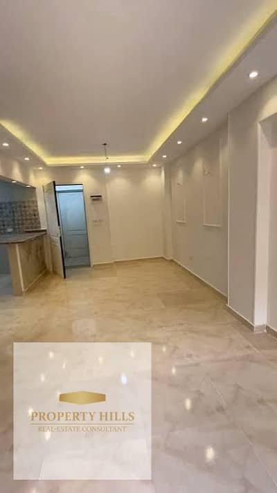 شقه كامله التشطيب بمقدم 200 الف تقسيط حتي 15 سنه متشطبه بالكامل فيو دايركت علي ليك ولاند Fully finished apartmentسكيب كمبوند كامل الخدامات