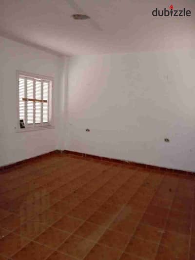 A real opportunity that will not be repeated, a ground floor apartment for rent for Cleopatra lovers directly on the tram, suitable for all purposes. . etc