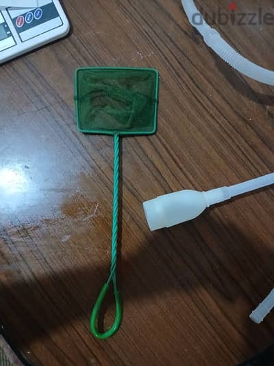 شبكة التقاط السمك