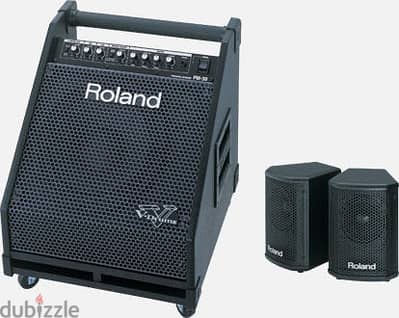 Roland PM-30 Drum Monitor – Professional Electronic Drum Amplifier