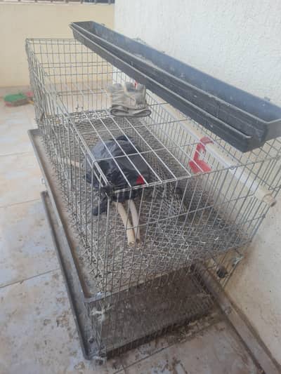 سلاكة طيور دورين معدن بحاله ممتازه