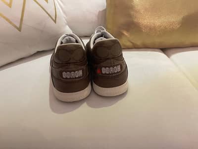 coach size 43