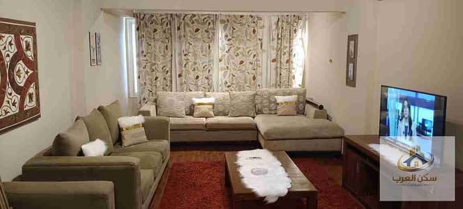 Furnished apartment for rent, 200 square meters, on Mustafa El Nahas main road. Air-conditioned, sanitized, with Wi-Fi internet. Daily and monthly rentals available directly from the owner.