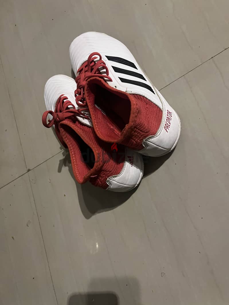 Adidas predator 39-38 1