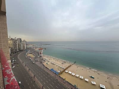 شقه فندقيه بحر مباشر  - ميامي - الاسكندريه  - مجهزه بالكامل