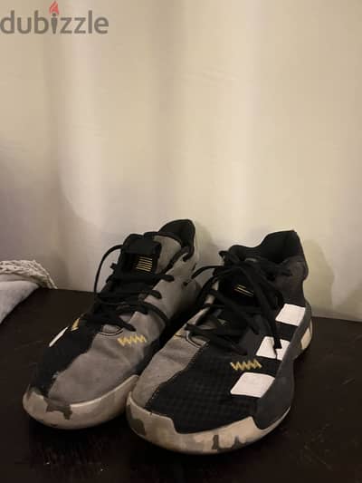 Adidas shoes