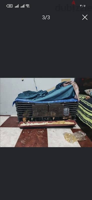 عشس بلاستيك للبيع