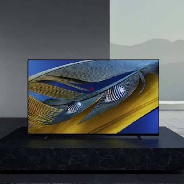 Sony OLED 55 4