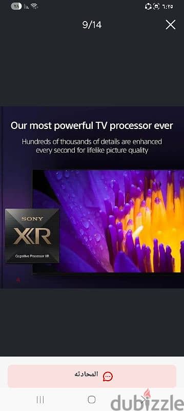 Sony OLED 55 9