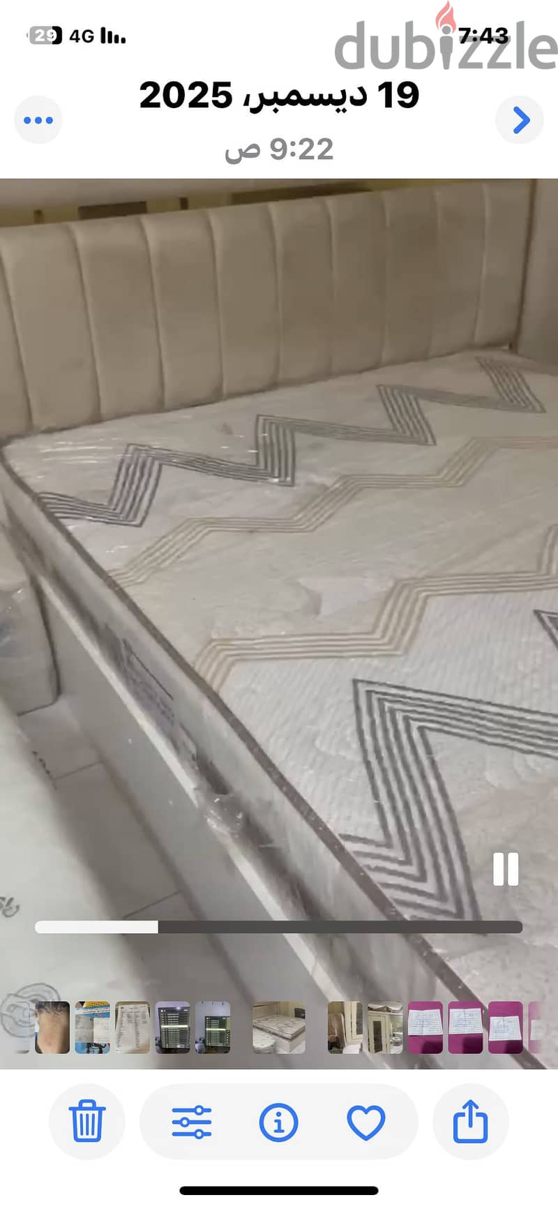 عين شمس 4