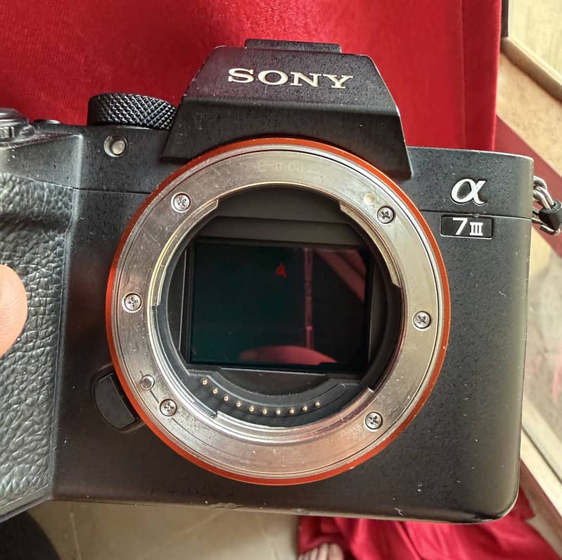 Sony a7iii - 150k+ shutter 1