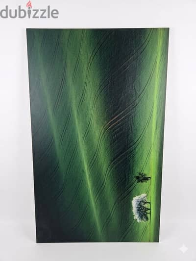 Paintings