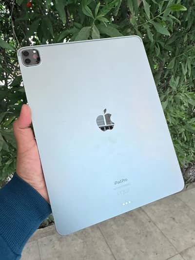 ipad pro m2 12.9 inch
