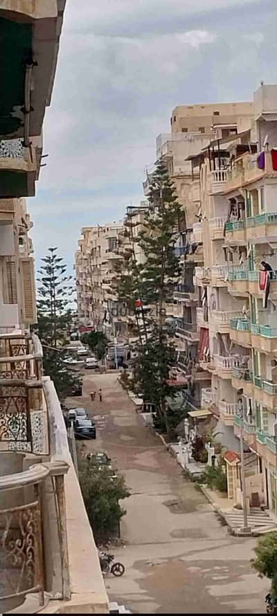 شقه للبيع في العجمي اسكندريه شاطئ النخيل بجوار الخدمات والأسواق وحمام سباحة ميرا تصلح للسكن والاستثمار الجيد