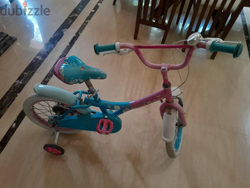 bicycle 2