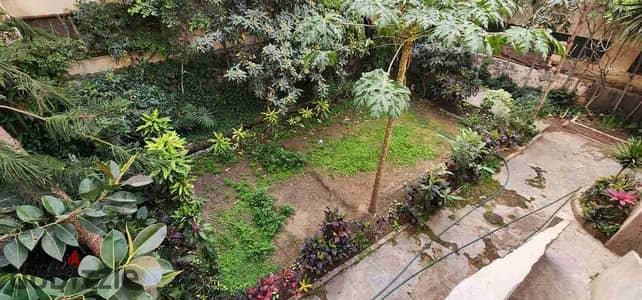 Villa for rent in Kafr Abdo  550 m
