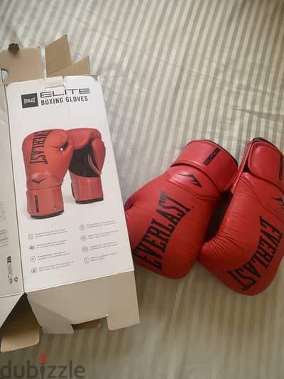 Everlast boxing gloves used only for 5 or 6 times(original)