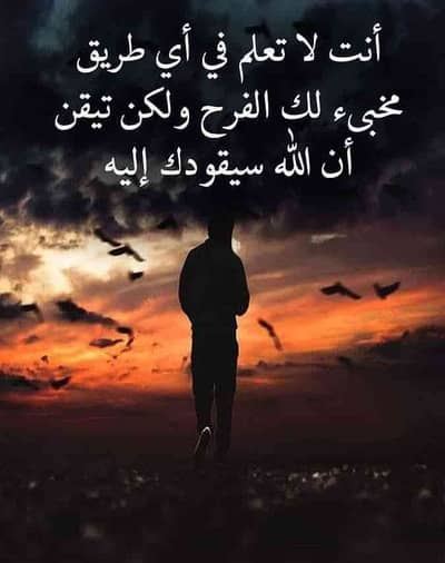 RAMY ZAKI 