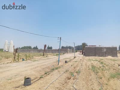 Farm 20 acre registered for sale in Wadi El Natroun divisible and payable in installments.