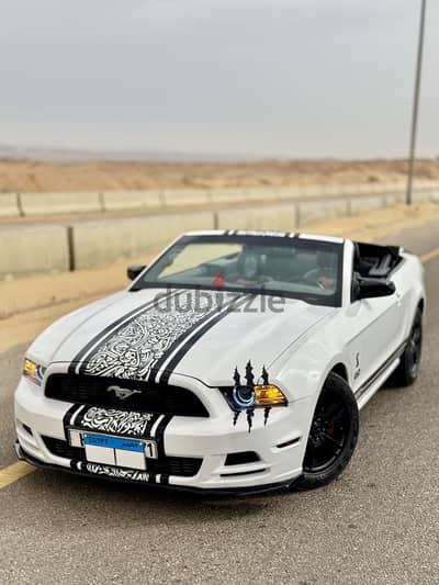 Mustang for rent in Egypt