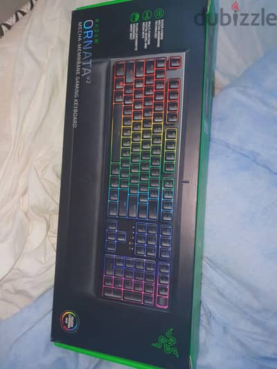 razer keyboard ornata v2