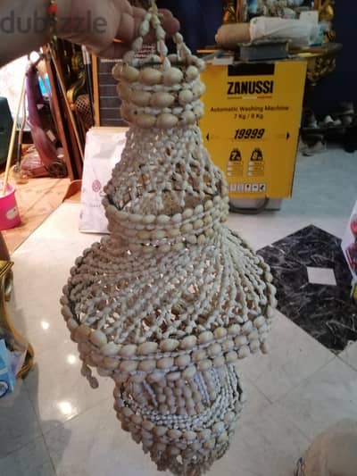 نجفة  صدف بحر