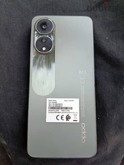 ملوي المنيا