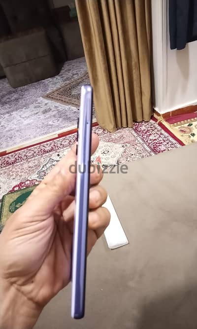 طنطا محافظة الغربية