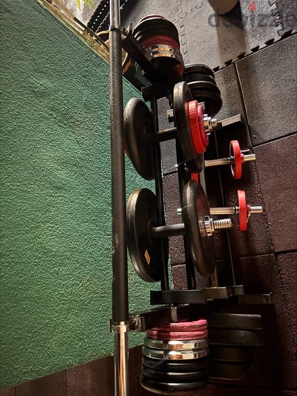 free weights 3