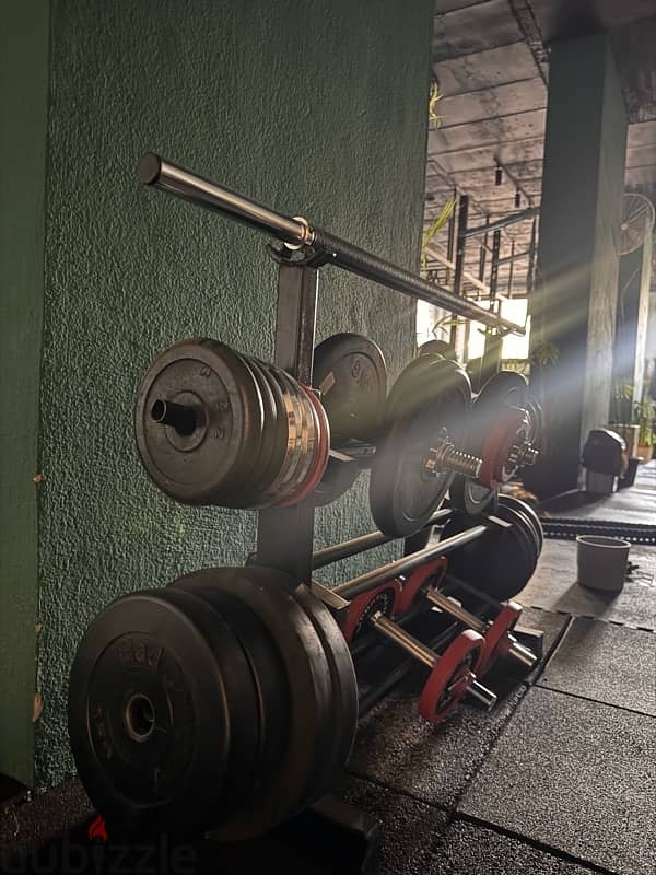 free weights 6