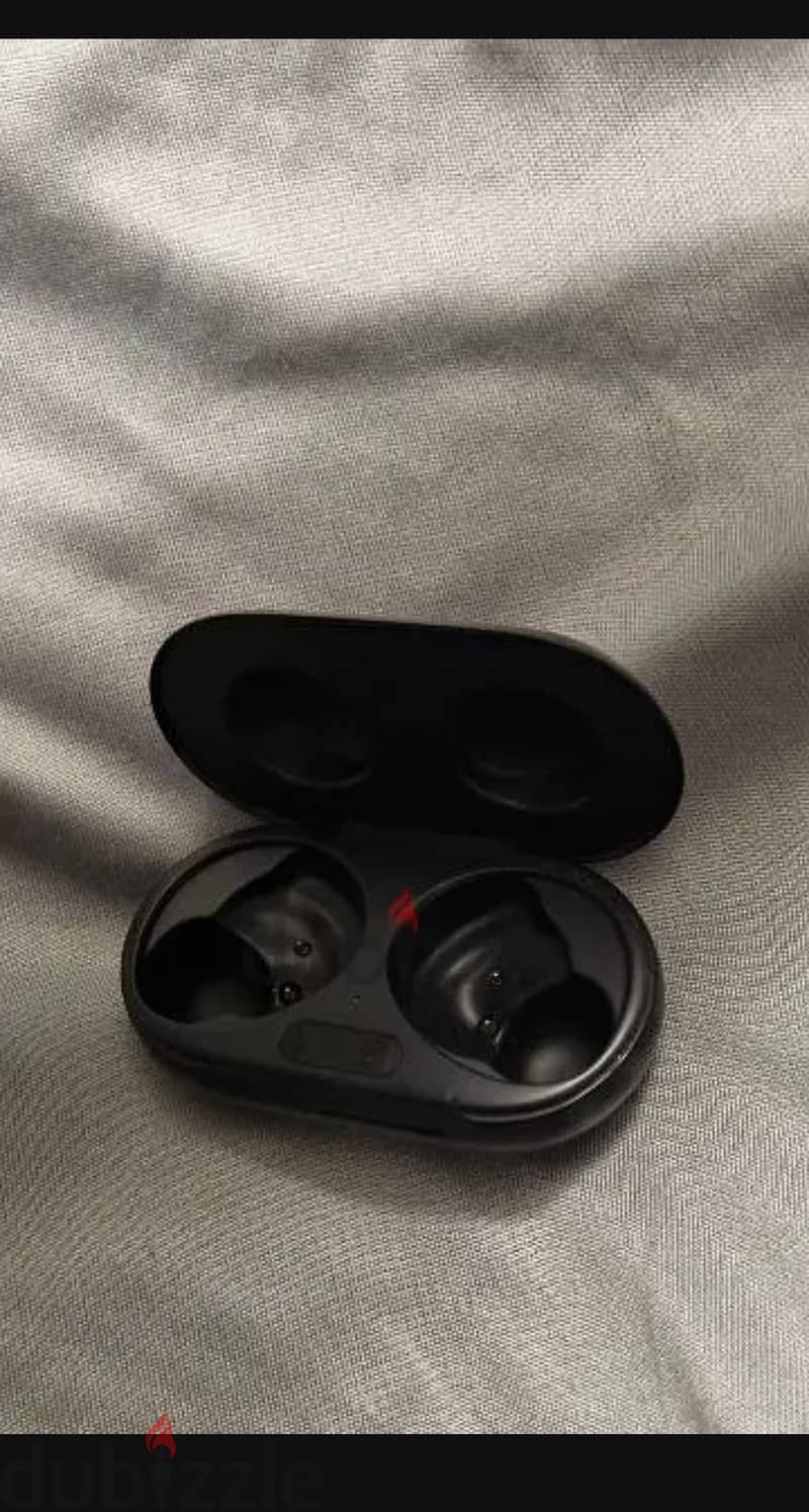 box buds plus 1