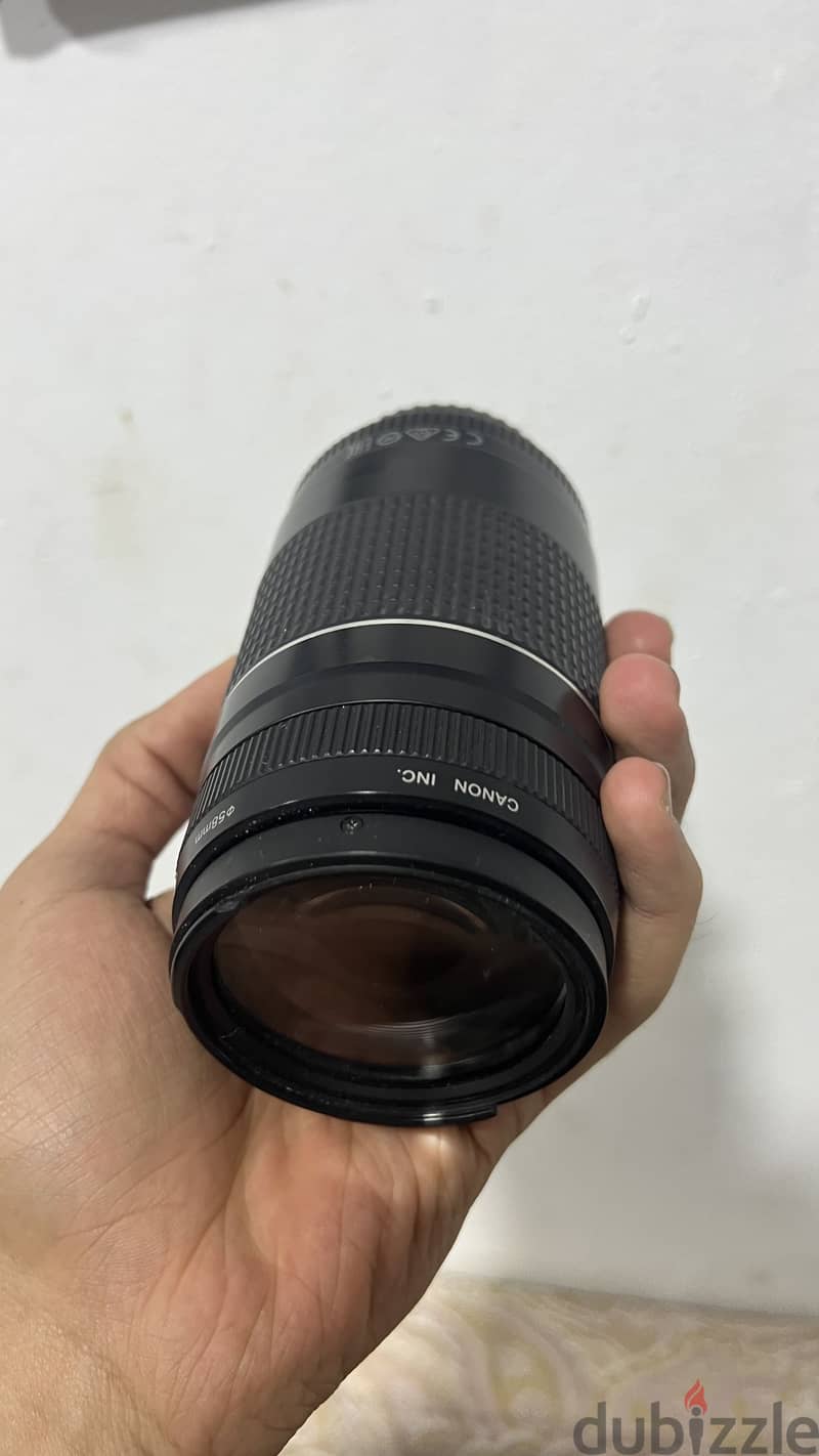 Canon 75-300 1