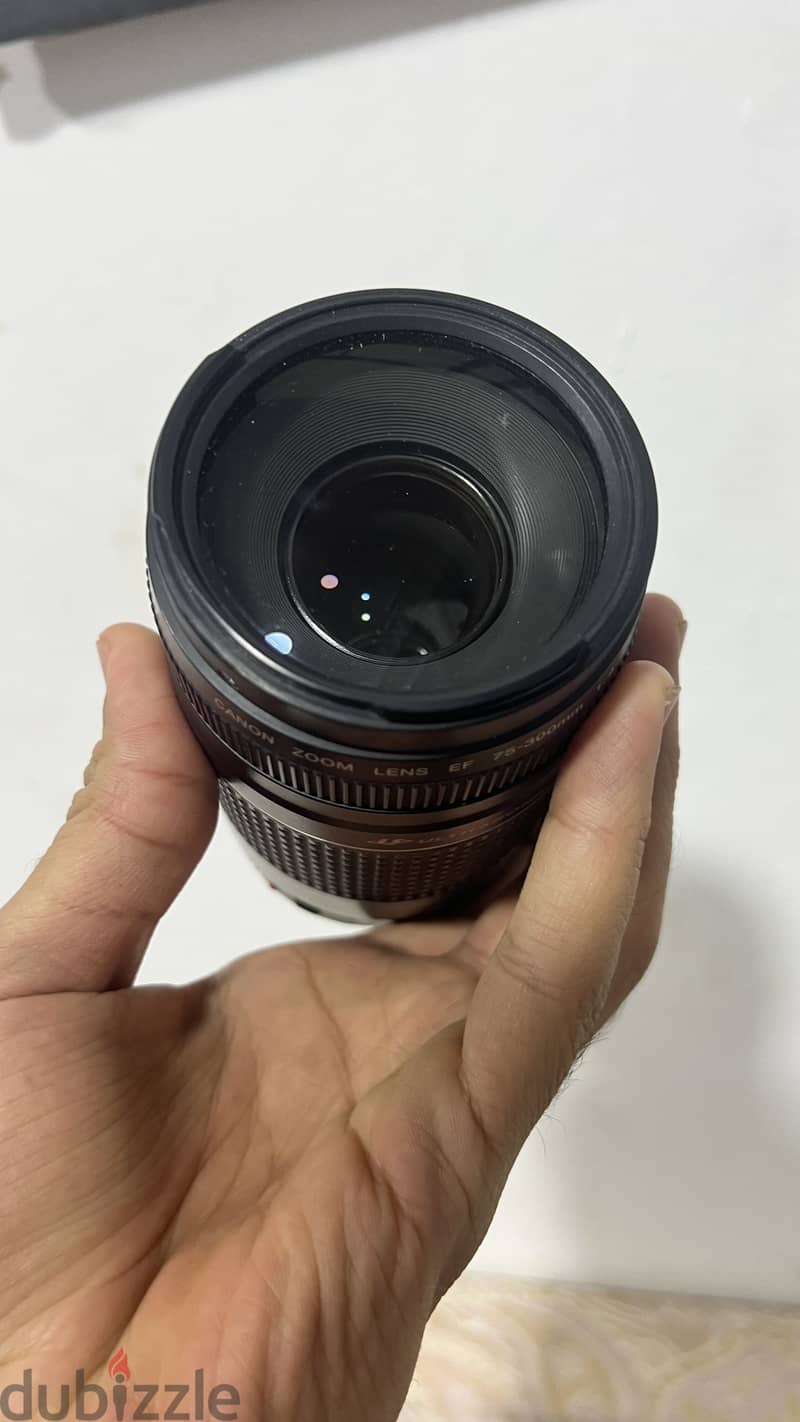Canon 75-300 2