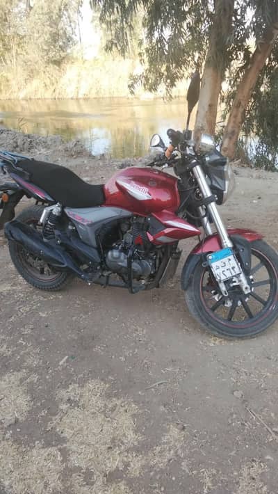 موتوسيكل بينلي vlm200