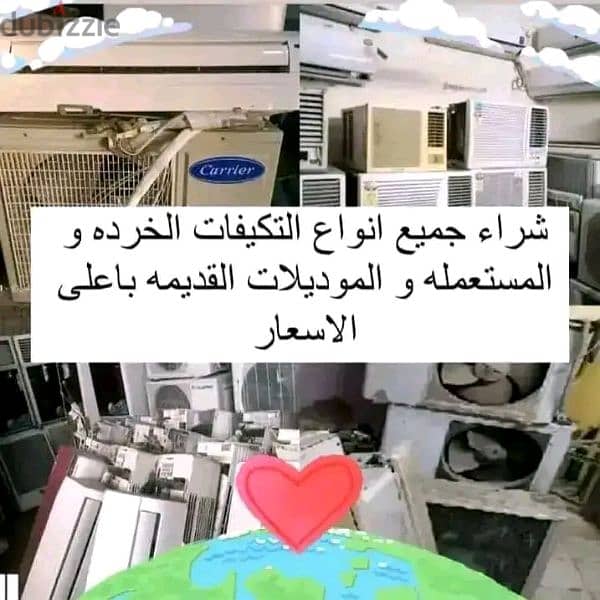 1015245503 1