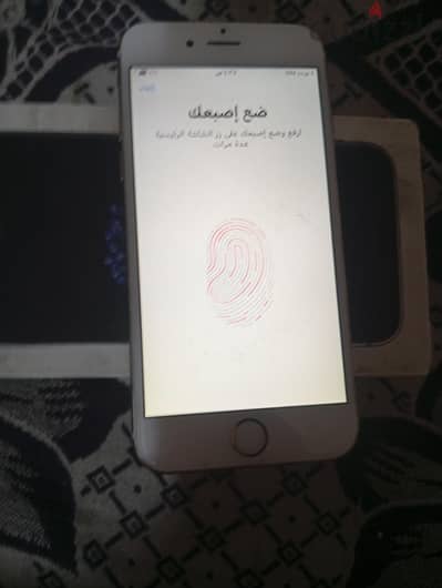 الدخيله شارع الجيش