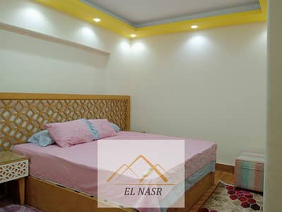 Furnished apartment for daily or monthly rent in Nasr City at the finest location directly from the owner without any commissions for immediate rental