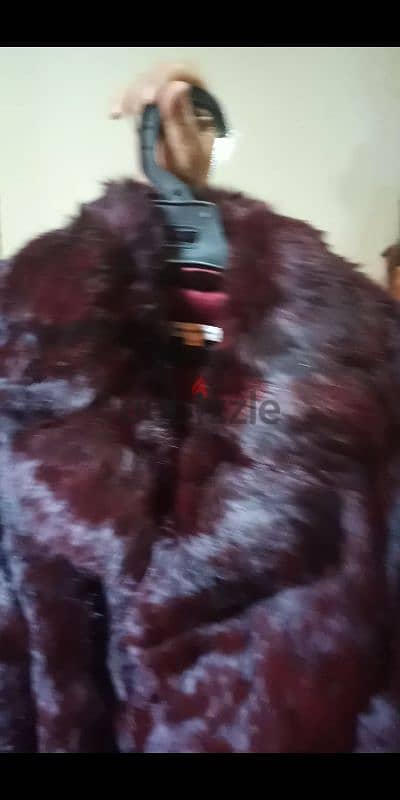 افخم جاكيت فورير النجوم اصلي جديد ماركه عالميه لون مميز بربع تمنه3000ج